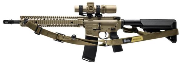 208 SWEEPSTAKE ENTRY FOR DDM4 ELEANOR 5.56 NATO 